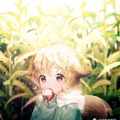 青藤之恋。不予退款
